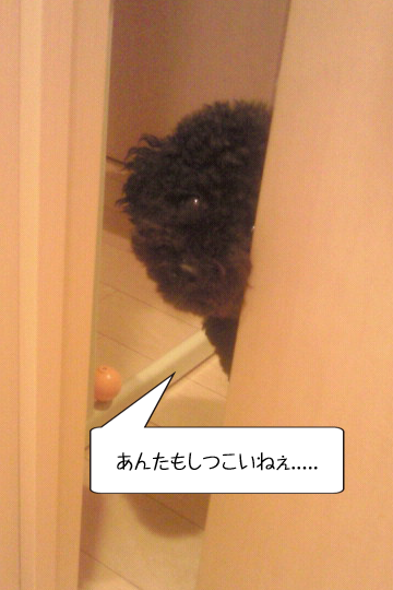 ライ